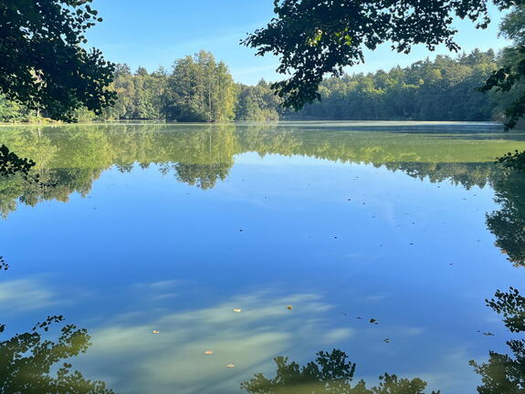 23-09-09 10-23-39 6490